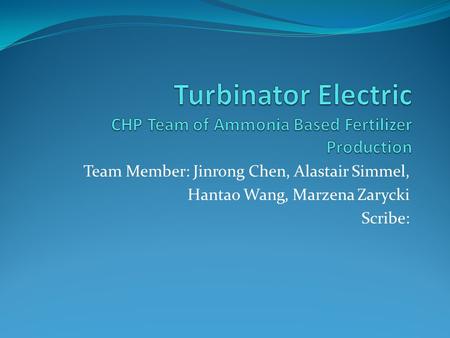 Turbinator Electric CHP Team of Ammonia Based Fertilizer Production