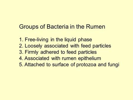 Groups of Bacteria in the Rumen 1. Free-living in the liquid phase 2. Loosely associated with feed particles 3. Firmly adhered to feed particles 4. Associated.