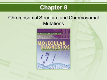 Chromosomal Structure and Chromosomal Mutations