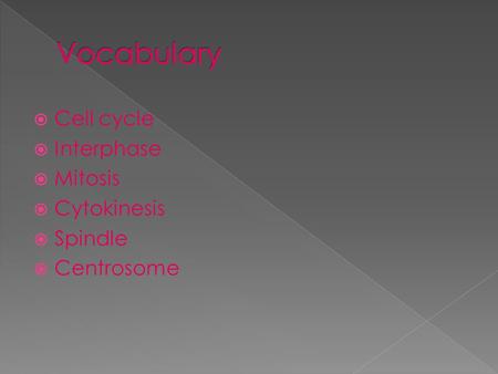 Vocabulary Cell cycle Interphase Mitosis Cytokinesis Spindle