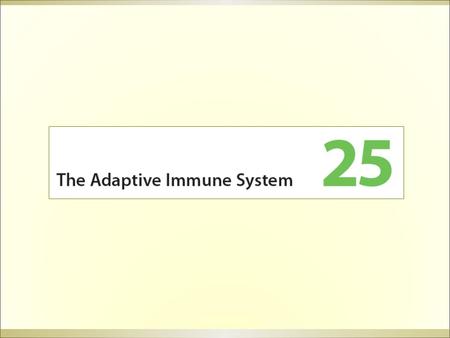 Design of immune system Immune system Self/non-self recognition The state of protection from infectious disease 自我非我 Memory Acceptance vs rejection 疫苗.