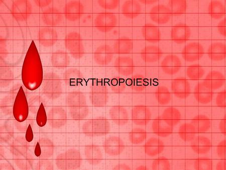 ERYTHROPOIESIS.