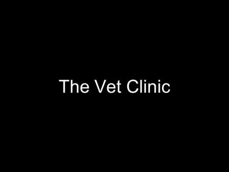 The Vet Clinic. Typical Timeline day practice head tech possible office manager emergency work specialty/teaching.