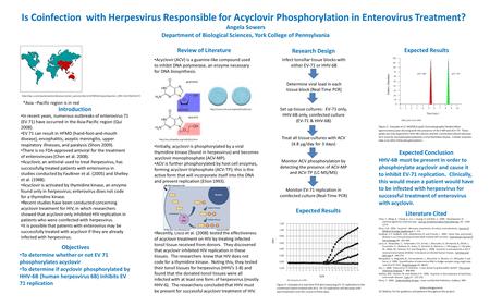 Is Coinfection with Herpesvirus Responsible for Acyclovir Phosphorylation in Enterovirus Treatment? Angela Sowers Department of Biological Sciences, York.