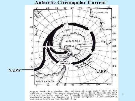 Antarctic Circumpolar Current