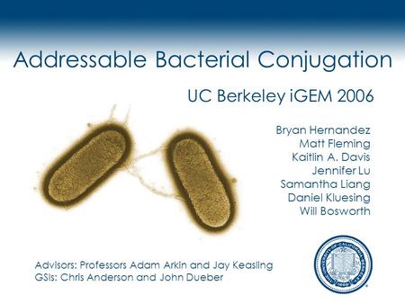 1 Addressable Bacterial Conjugation UC Berkeley iGEM 2006 Bryan Hernandez Matt Fleming Kaitlin A. Davis Jennifer Lu Samantha Liang Daniel Kluesing Will.