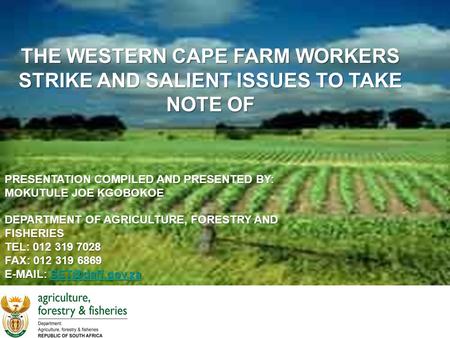 THE WESTERN CAPE FARM WORKERS STRIKE AND SALIENT ISSUES TO TAKE NOTE OF PRESENTATION COMPILED AND PRESENTED BY: MOKUTULE JOE KGOBOKOE DEPARTMENT OF AGRICULTURE,