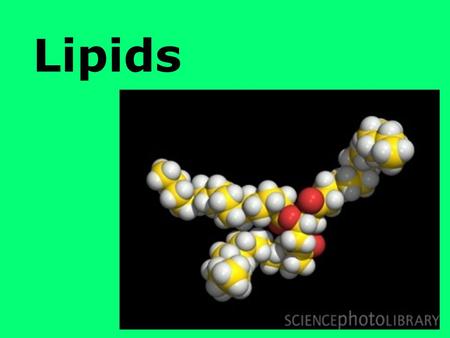 Lipids.