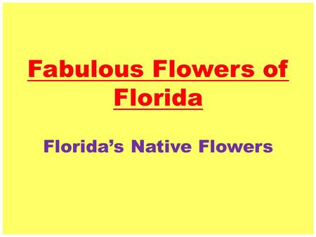 Fabulous Flowers of Florida Florida’s Native Flowers.