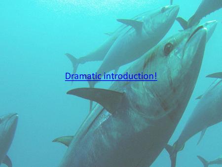 Dramatic introduction!. 16.6% of animal protein consumed $80 billion/year industry Employs ~750 million people worldwide Catch peaked in late 1990s.