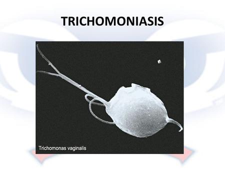 TRICHOMONIASIS. Quick Facts Caused by a parasite that spreads during sexual contact affecting both genders Symptoms show up 5-28 days after contact May.