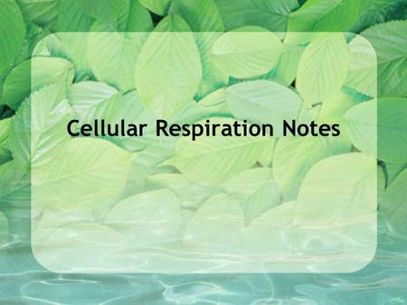 Cellular Respiration Notes