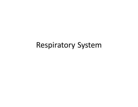 Respiratory System.