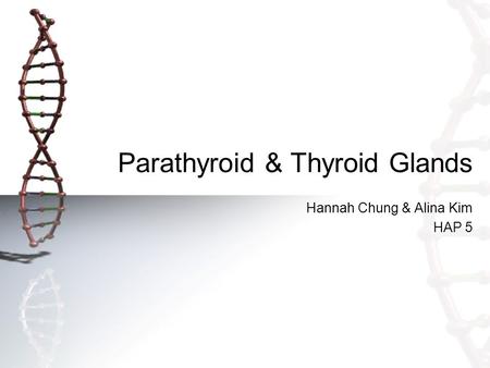 Parathyroid & Thyroid Glands