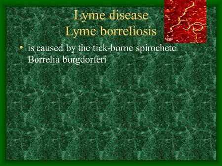 Lyme disease Lyme borreliosis