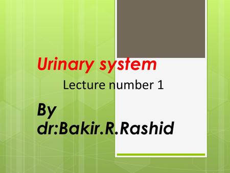 Urinary system By dr:Bakir.R.Rashid