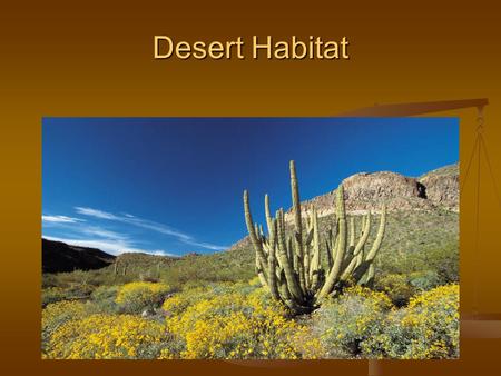 Desert Habitat. Where Plants and Animals Live Habitat is a place where plants and animals can meet their needs. Animals get food, water, and shelter from.