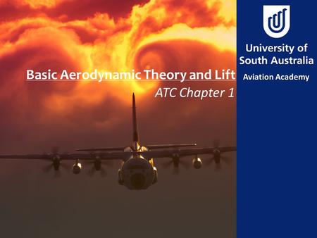 Basic Aerodynamic Theory and Lift