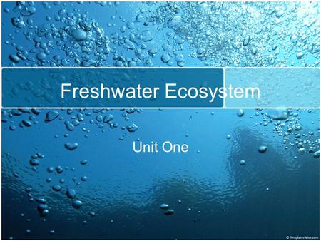 Freshwater Ecosystem Unit One. What is a freshwater ecosystem? Only 3% of the world’s water is fresh. Freshwater is either frozen in glaciers and pack.