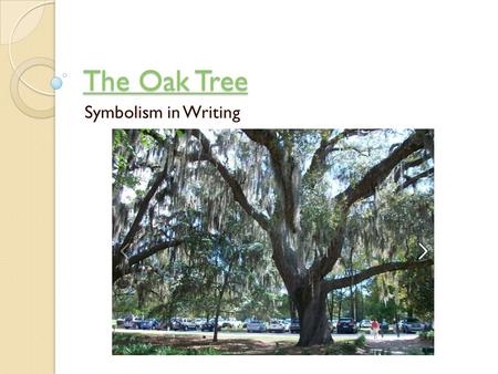 The Oak Tree Symbolism in Writing.