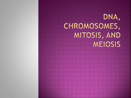  DNA stands for “Deoxyribonucleic acid”  DNA is the genetic material of an organism; it is passed down from parents to offspring  DNA’s shape is called.