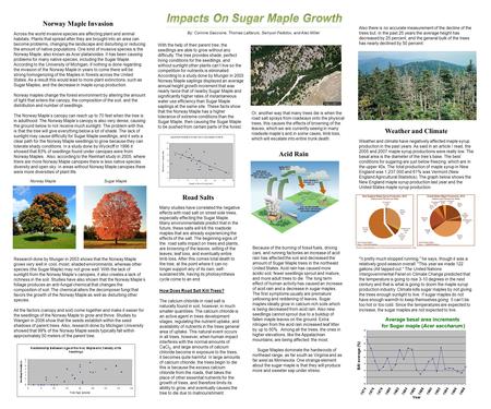 Norway Maple Invasion Across the world invasive species are affecting plant and animal habitats. Plants that spread after they are brought into an area.