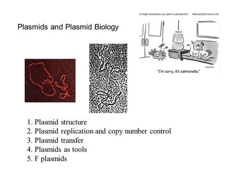 Plasmids and Plasmid Biology