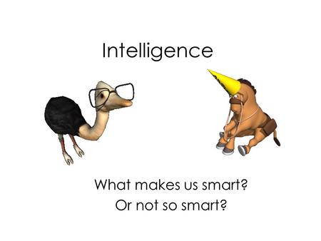 What makes us smart? Or not so smart?