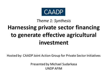 Theme 1: Synthesis Harnessing private sector financing to generate effective agricultural investment Hosted by: CAADP Joint Action Group for Private Sector.