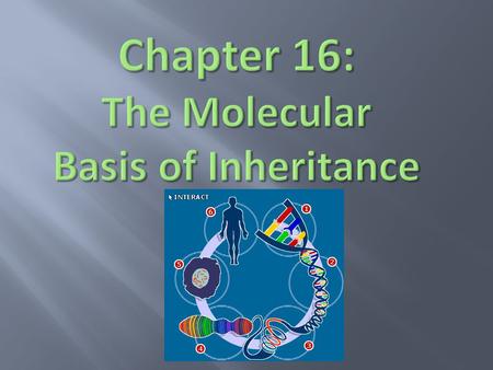  3.a.1 – DNA, and in some cases RNA, is the primary source of heritable information (16.1 & 16.2).  3.c.1 – Changes in genotype can result in changes.