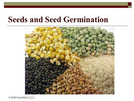 Seeds and Seed Germination