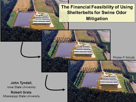 MS© The Financial Feasibility of Using Shelterbelts for Swine Odor Mitigation Photos: P. Schultz John Tyndall, Iowa State University Robert Grala, Mississippi.