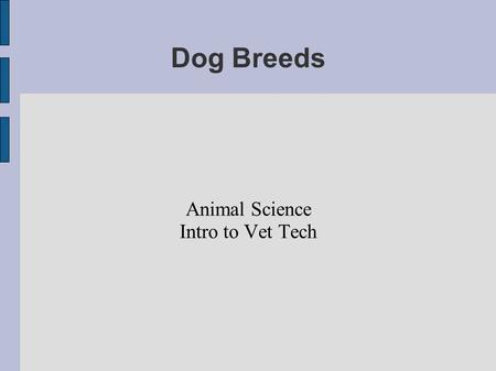 Dog Breeds Animal Science Intro to Vet Tech. Doberman Pinschers- 21 This dog was originated in Germany in the 1900's. They were found so that it was used.