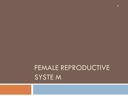 Female reproductive syste M