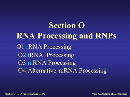 Section O RNA Processing and RNPs O1 rRNA Processing O2 tRNA Processing O3 mRNA Processing O4 Alternative mRNA Processing Section.