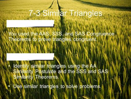 7-3 Similar Triangles You used the AAS, SSS, and SAS Congruence Theorems to prove triangles congruent. Identify similar triangles using the AA Similarity.