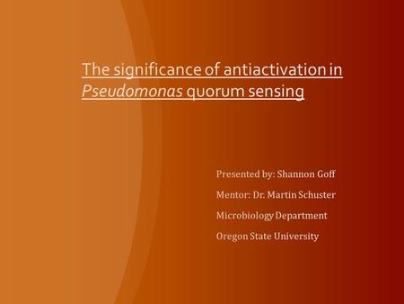 Pseudomonas aeruginosa Human opportunistic pathogen – exploits some break in hosts’ defenses in which to initiate infection.