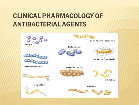 CLINICAL PHARMACOLOGY OF ANTIBACTERIAL AGENTS