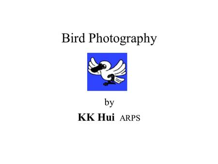 Bird Photography by KK Hui ARPS. Bird Photography 1.Why Bird Photography?Why Bird Photography? 2.Ethics of Bird PhotographyEthics of Bird Photography.