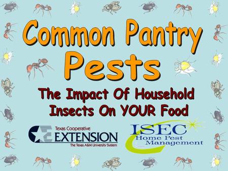 Identify –Properly identify the pest Sanitize –Clean on a regular basis to reduce what attracts pests Exclude –Seal any entry points into the home Control.