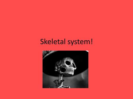 Skeletal system!. feet The normal person will walk a 128,000kms in a life time, that's more than 3 times around the world. Wow that's a long way! Did.