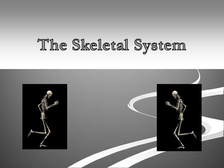 Special Vocabulary Cartilage: Strong flexible connective tissue Cartilage: Strong flexible connective tissue Ossification: The process of bone being.