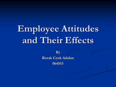 Employee Attitudes and Their Effects