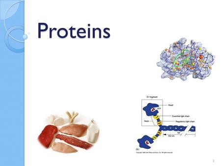 Proteins.