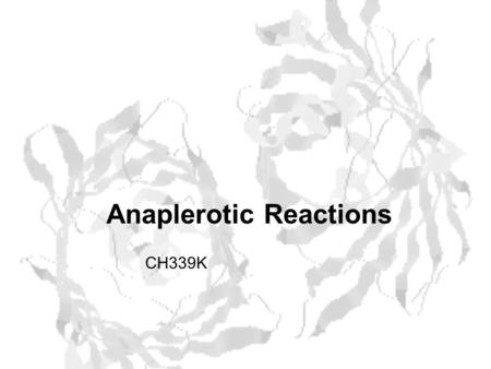 Anaplerotic Reactions CH339K. Citric Acid Cycle in Anabolism.