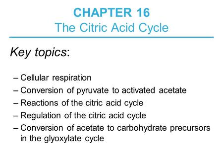 CHAPTER 16 The Citric Acid Cycle –Cellular respiration –Conversion of pyruvate to activated acetate –Reactions of the citric acid cycle –Regulation of.