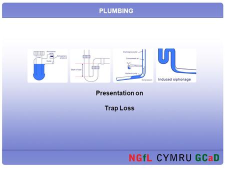 Presentation on Trap Loss