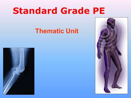 Standard Grade PE Thematic Unit. The Body Structure It supports your body. It protects vital organs. Produces blood in longer bones such as the thigh.