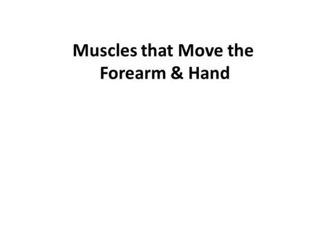 Muscles that Move the Forearm & Hand