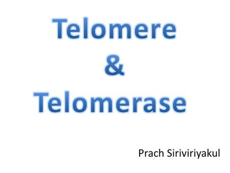 Prach Siriviriyakul. Chromosome must be protected.